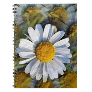 CARNET DATES