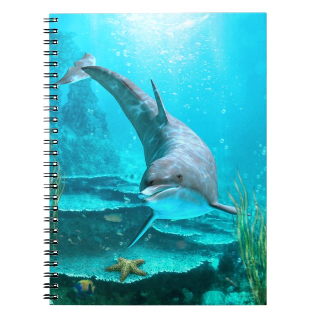 Carnet Dauphin (Devant)