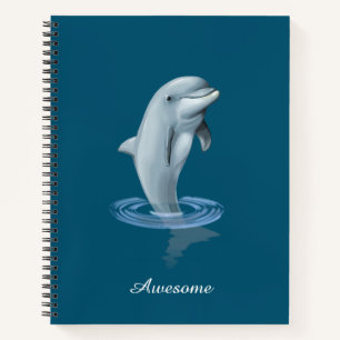 Carnet Dauphin, Ancre personnalisée et script sur Ocean B