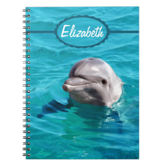 Carnet Dauphin en photo de l'eau bleue