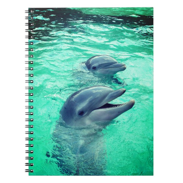 Carnet Dauphins (Devant)
