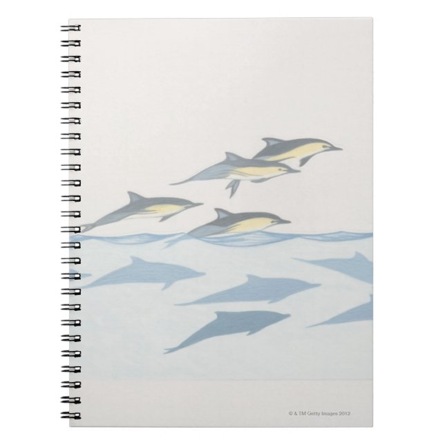 Carnet Dauphins communs (Devant)