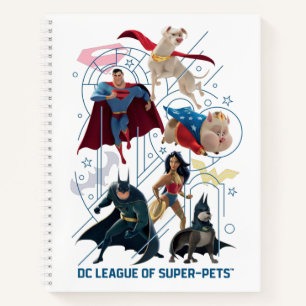 Carnet DC Trinity Heroes & Super-Pets