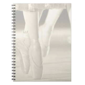 Carnet de ballerine