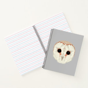 Carnet de Barn Owl