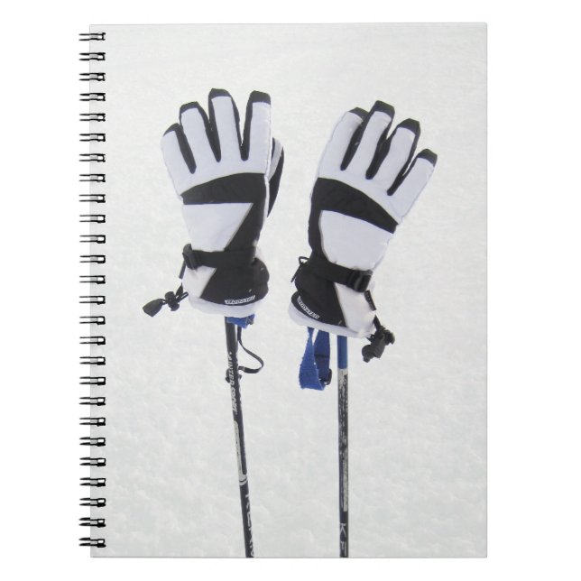 Carnet de bâtons et gants de ski (Devant)