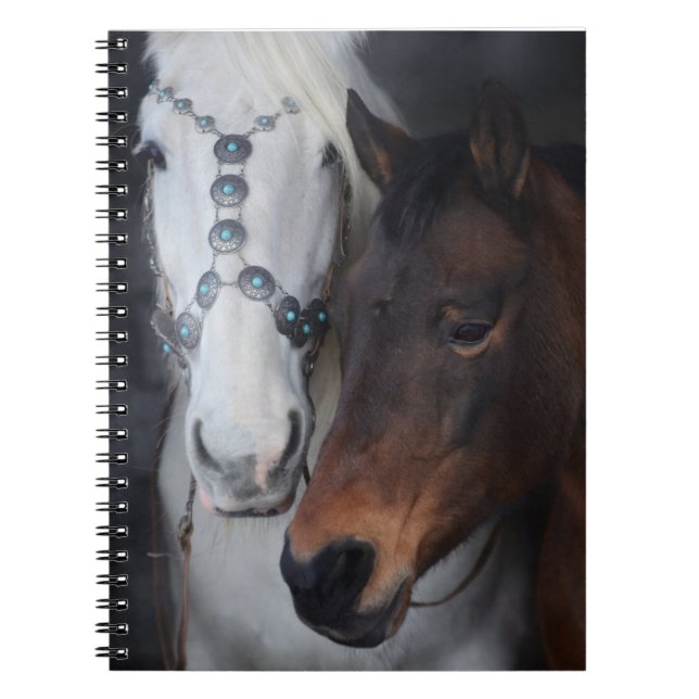 Carnet De beaux chevaux (Devant)