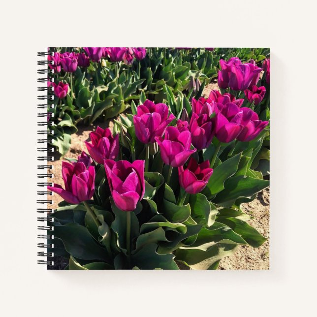 Carnet De beaux tulipes (Devant)