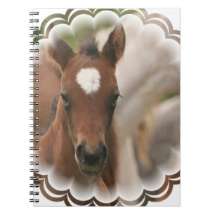 Carnet de bébé de cheval