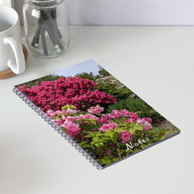 Carnet De belles fleurs de rhododendron rose (In Situ)