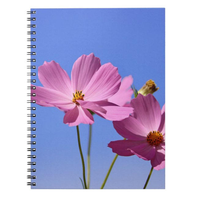Carnet de belles fleurs roses serrant un ciel bleu clair (Devant)
