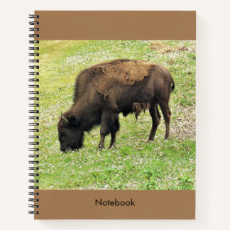 Carnet de bison