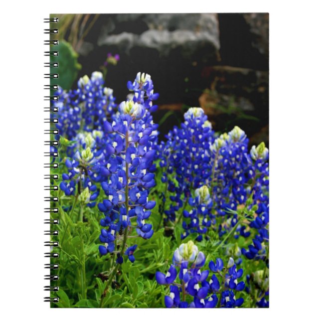 Carnet de Bluebonnets de Texas (Devant)