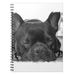 Carnet de bouledogue français