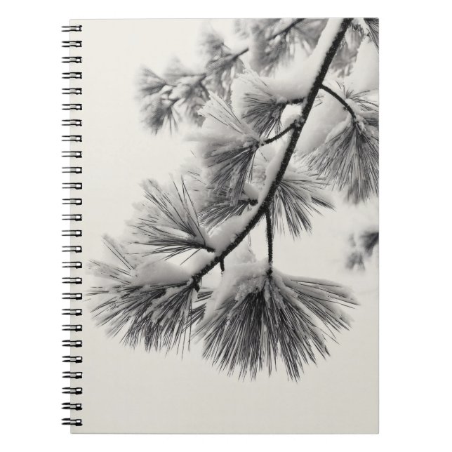 Carnet de branche d'aiguilles de pin neigeux (Devant)