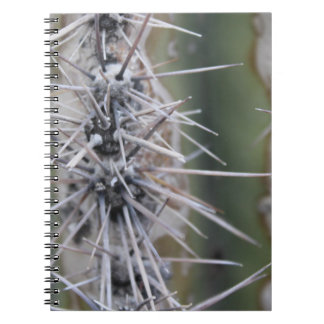 Carnet de cactus
