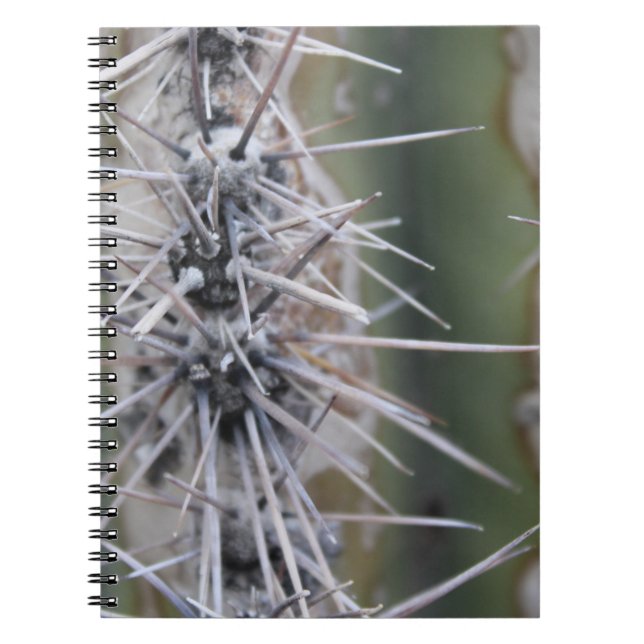 Carnet de cactus (Devant)