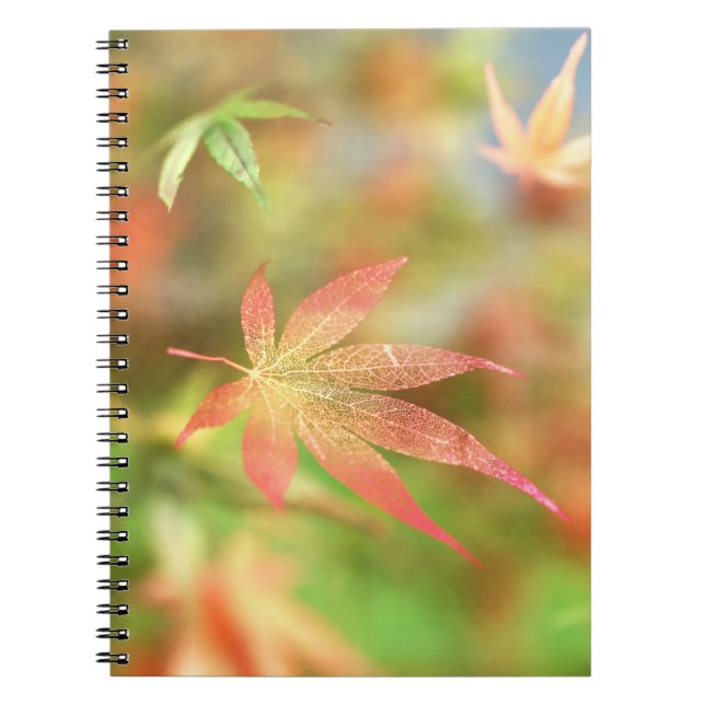 Carnet de champ automne (Devant)
