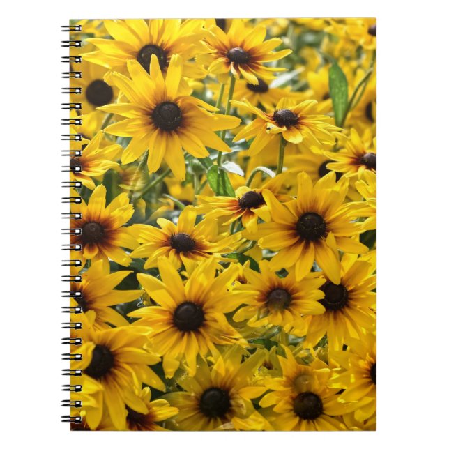 Carnet de champ de tournesols (Devant)