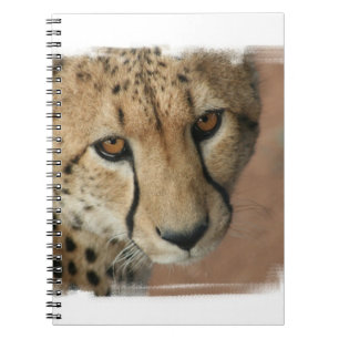 Carnet de chat de guépard