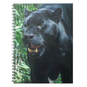 Carnet de chat de panthère noire