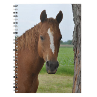 Carnet de cheval