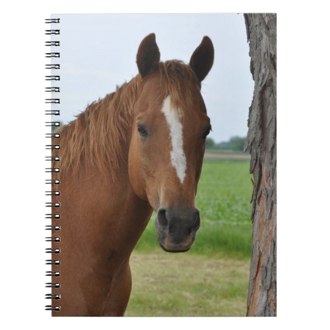 Carnet de cheval (Devant)