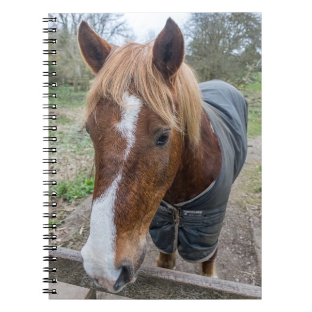 Carnet de cheval (Devant)