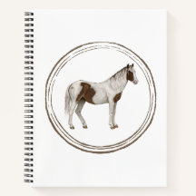 Carnet de cheval Paint Horse