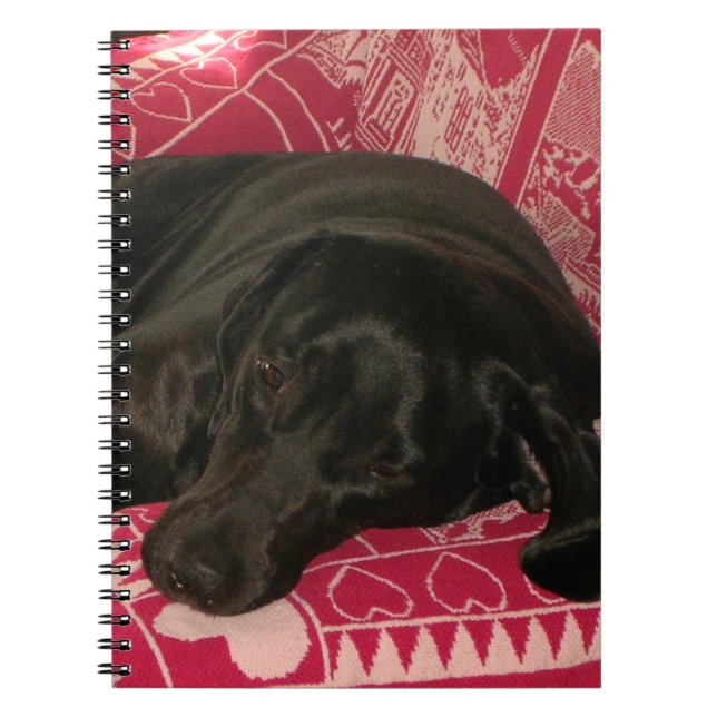 Carnet de chien endormi (Devant)