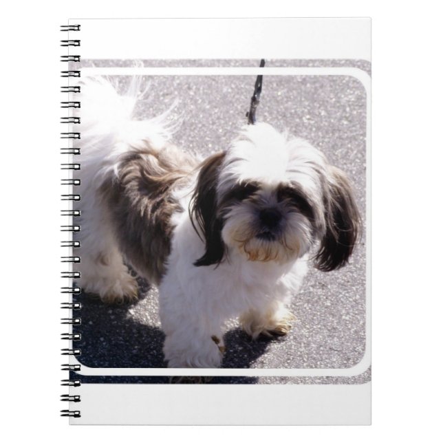 Carnet de chiot de Tsu de Shih (Devant)
