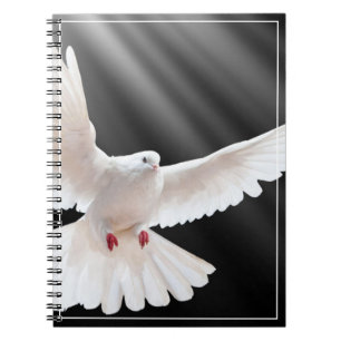 Carnet de colombe