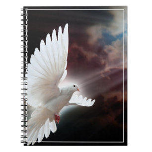 Carnet de colombe