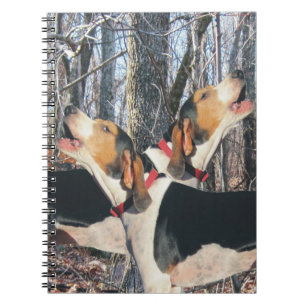 Carnet de Coonhound de marcheur de Treeing de