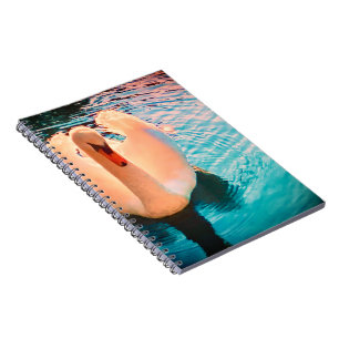 Carnet de cygne