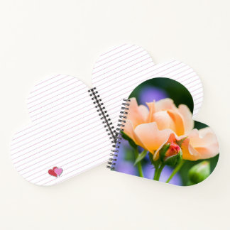 carnet de désir