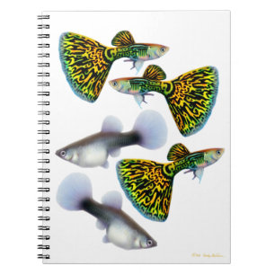 Carnet de fantaisie de guppys de rose des vents