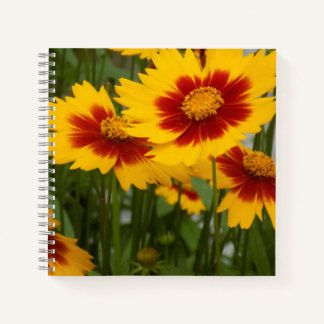Carnet de fleurs