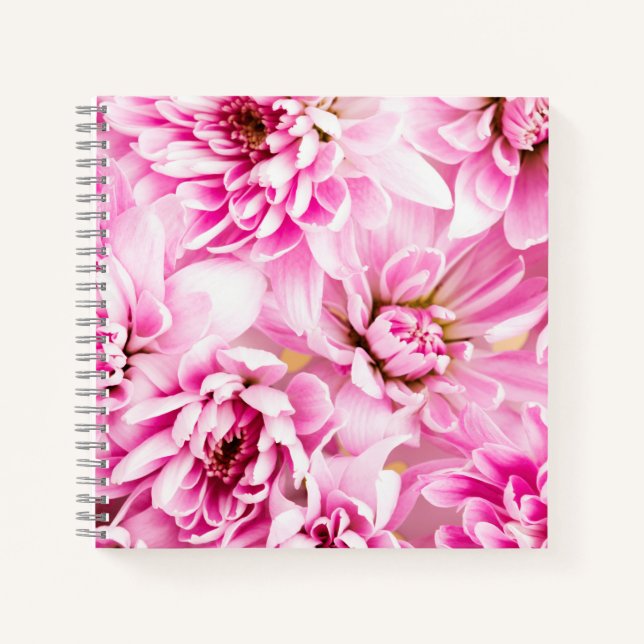 Carnet de fleurs de chrysanthème rose (Devant)