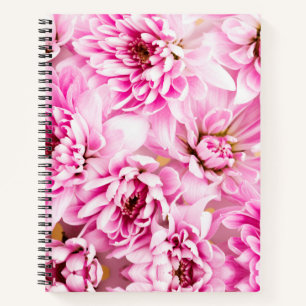 Carnet de fleurs de chrysanthème rose