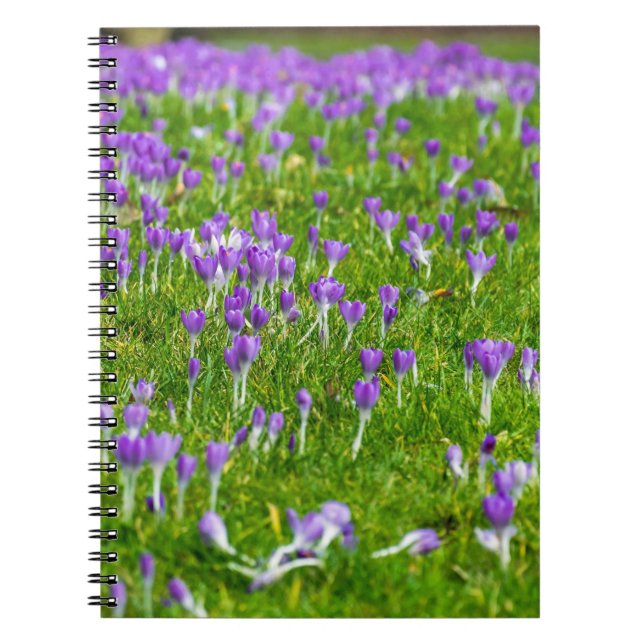 Carnet de fleurs de crocus violets (Devant)