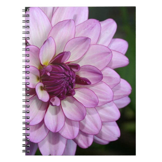 Carnet de fleurs de dahlia violet (Devant)