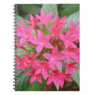 Carnet de fleurs tropicales rose vif