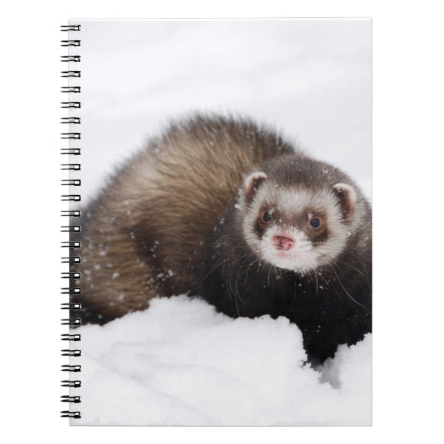 Carnet de furet de Milou (Devant)
