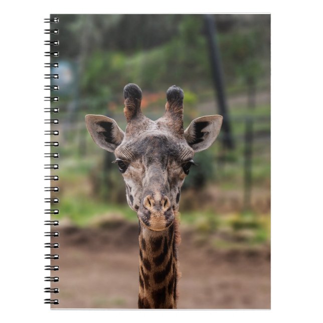 Carnet de girafe (Devant)