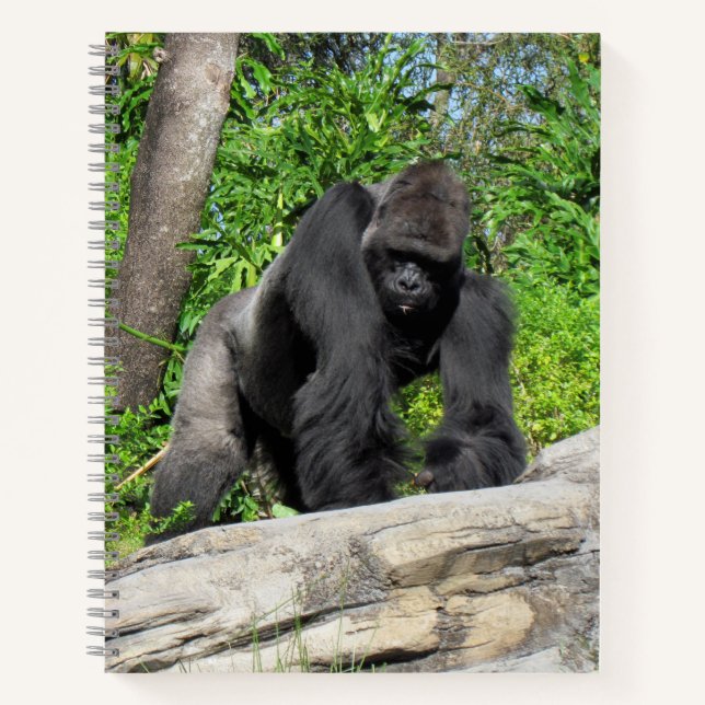 Carnet de Gorille de Silverback, 8,5 x 11 + (Devant)