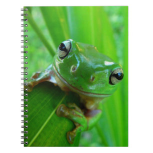 Carnet de grenouille à arbre vert