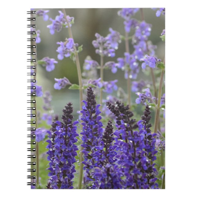 Carnet de jardin à fleurs violettes (Devant)