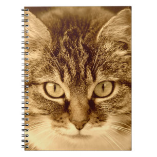 Carnet de journal rayé par spirale d'amoureux de