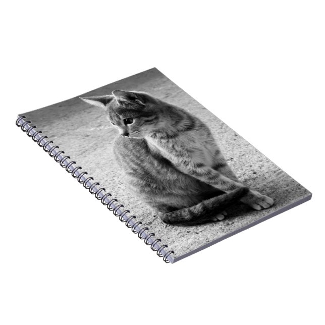 Carnet de Kitten noir et blanc (Côté Droit)